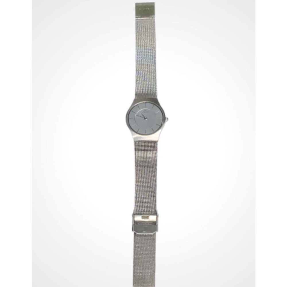 Skagen Denmark Stainless Steel Quartz Silver Mesh Watch
